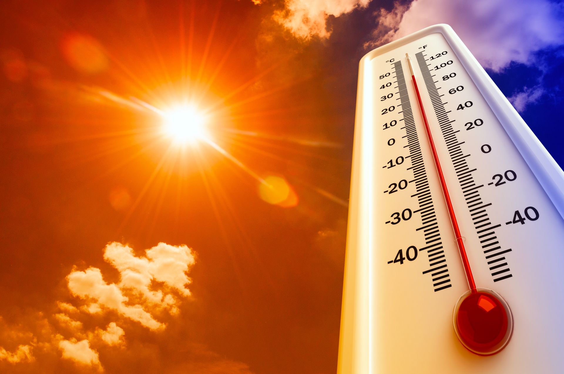 ¿Cómo hacer frente a la ola de calor?